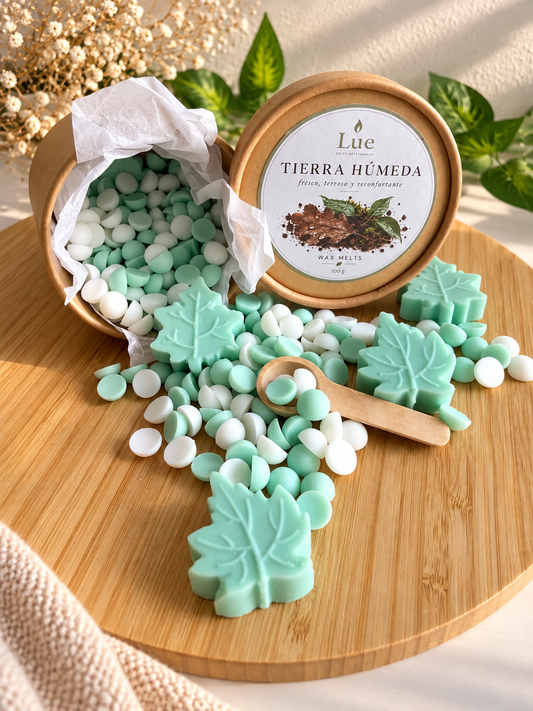 Wax melt TIERRA HUMEDA