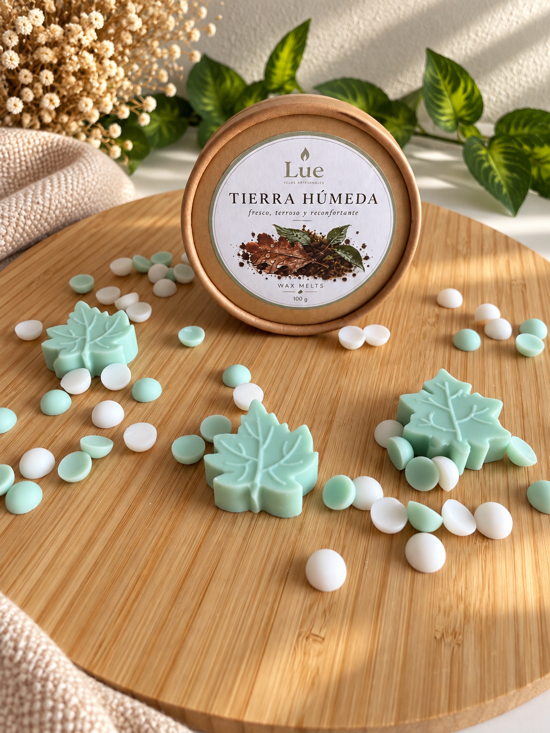 Wax melt TIERRA HUMEDA