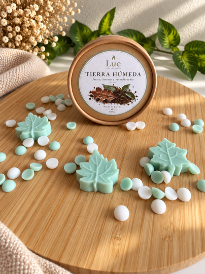 Wax melt TIERRA HUMEDA